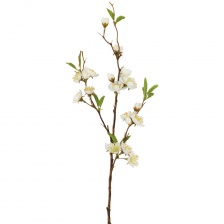 Cherry Blossom Stem White by Grand Illusions